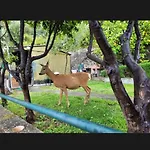 Il Gabbiano Di Pieve 3* Pieve Ligure