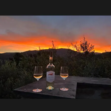 Bed & Breakfast Il Gabbiano Di Pieve *