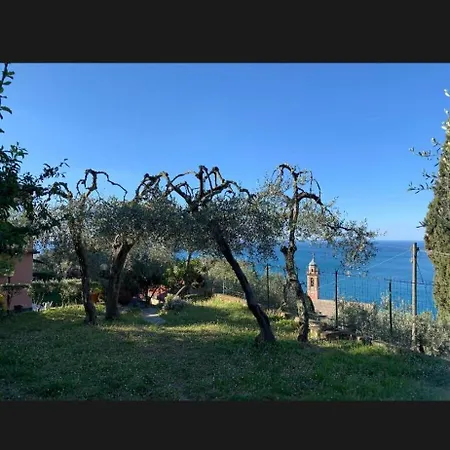 Bed & Breakfast Il Gabbiano Di Pieve