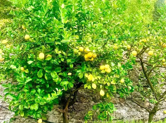 Il Gabbiano Di Pieve