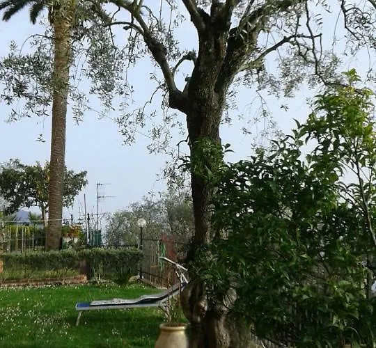 Il Gabbiano Di Pieve 3*