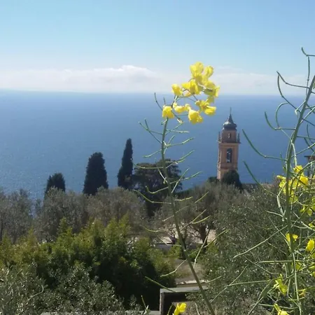 Il Gabbiano Di Pieve Отель типа 