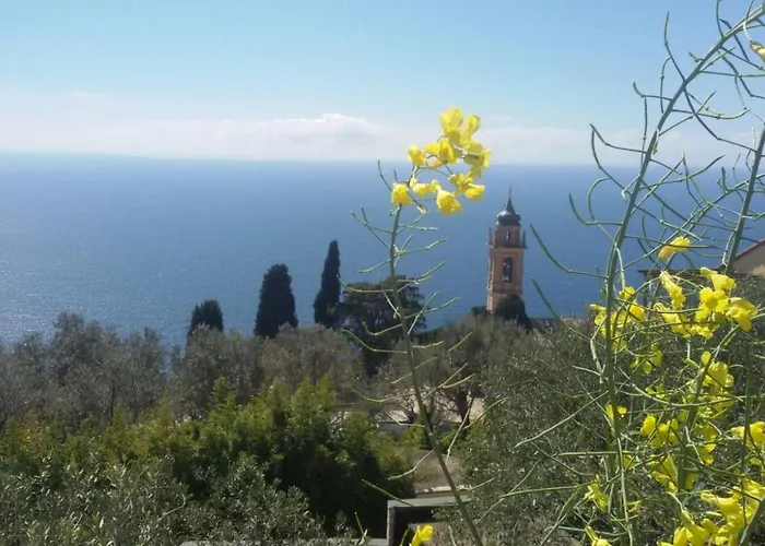 Il Gabbiano Di Pieve Bed & Breakfast