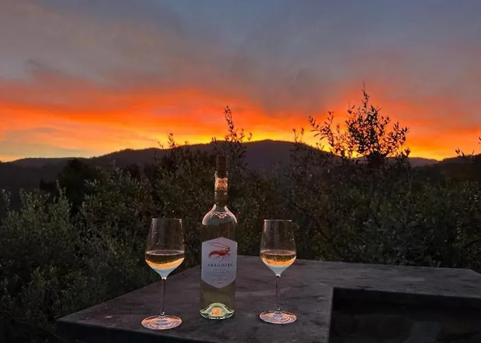 فندق مبيت وإفطار Il Gabbiano Di Pieve 3*